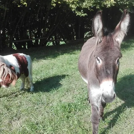 La Petite Maison Dans La Prairie Bed and Breakfast 3*