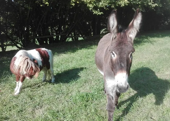 La Petite Maison Dans La Prairie Bed & Breakfast 3*